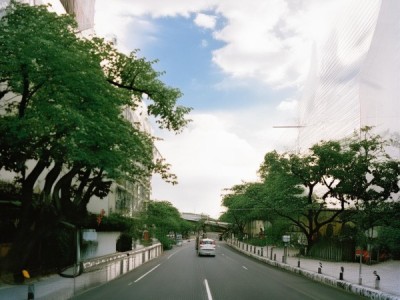 五字八行书法盛宴，赏析经典之美