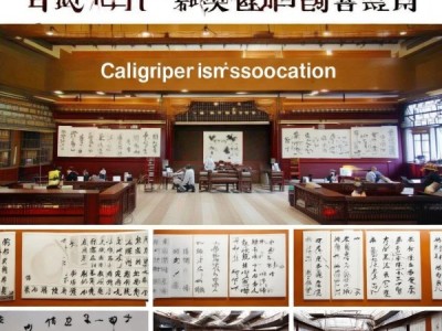 黑龙江省书法家协会，传承与创新共进，推动书法艺术繁荣发展